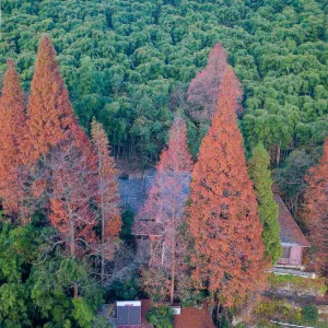 【莫干山美食】2026莫干山美食餐廳盤點!附當地景點推薦