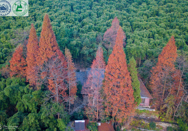 【莫干山美食】2026莫干山美食餐廳盤點！附當地景點推薦