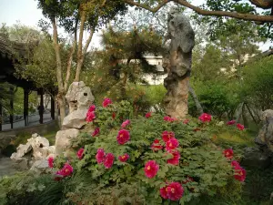 Yiyuan Garden