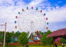 Chrysanthemum Park, Yuge Town