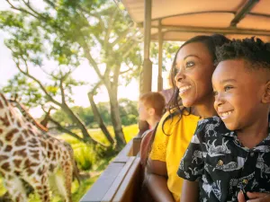 디즈니스 애니멀 킹덤 띰 파크