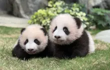 香港海洋公園
