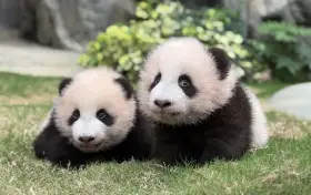 香港海洋公園