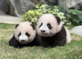 香港海洋公園