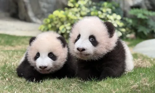 香港海洋公園