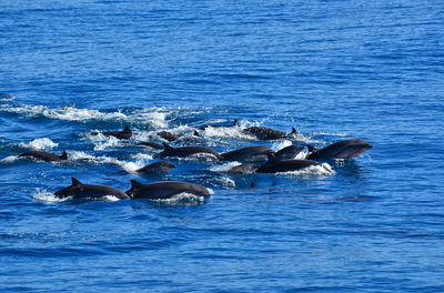 Whale World Hualien
