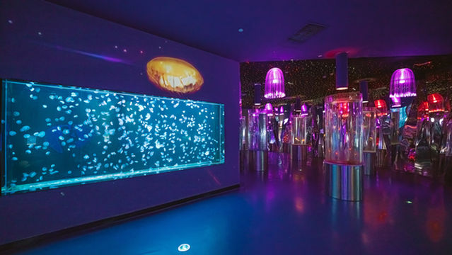 Blue Home Living Exhibition Hall