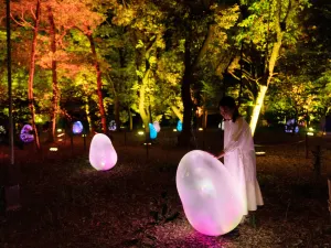teamLab Botanical Garden Osaka