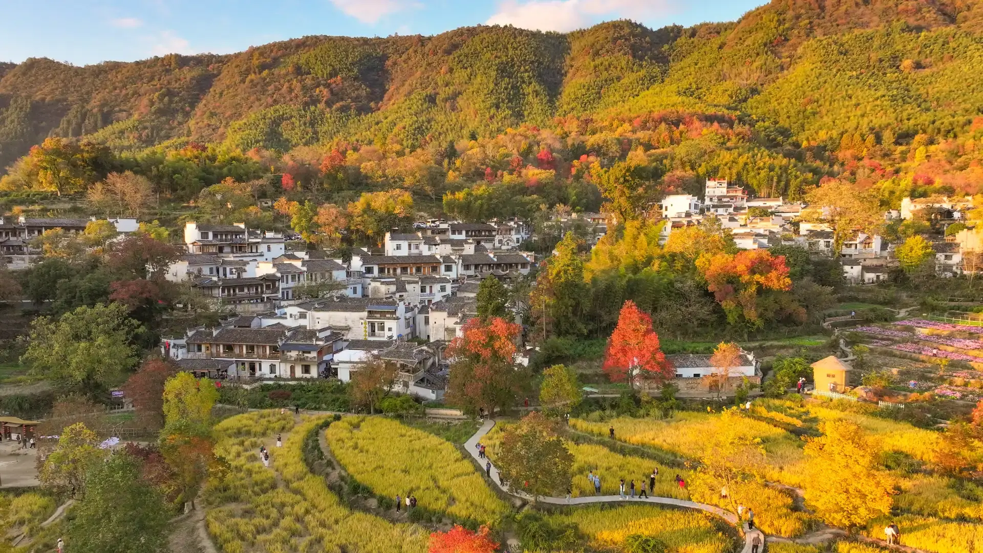 鄰近塔川的酒店