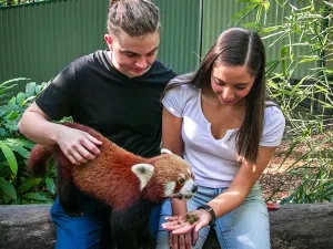 Currumbin Wildlife Sanctuary