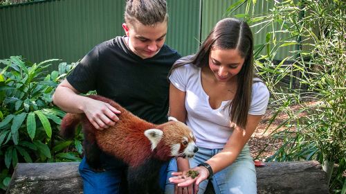 Currumbin Wildlife Sanctuary