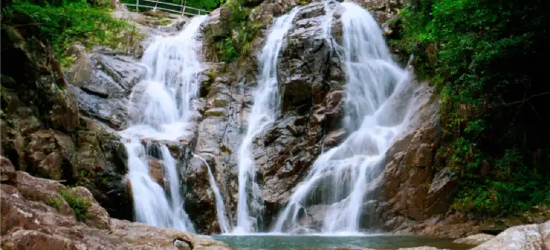 Hotels in Linwu