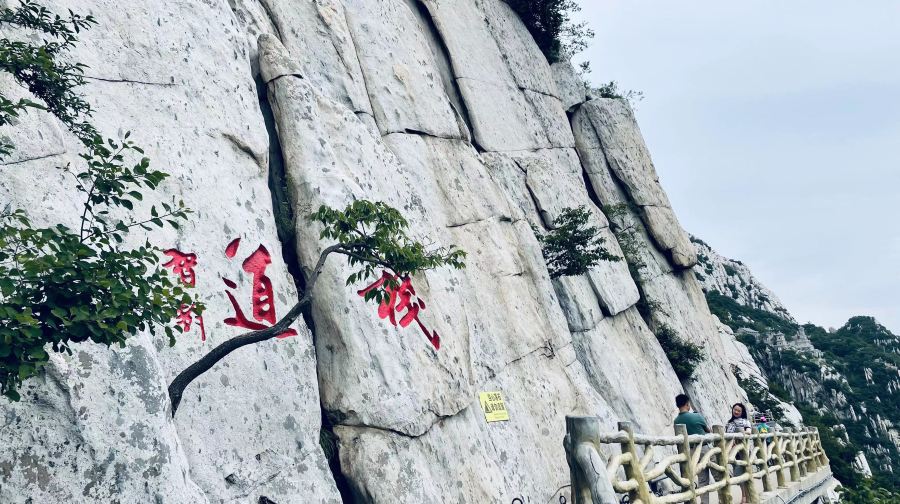鄭州私人導覽一日遊 少林寺 三皇寨 塔林