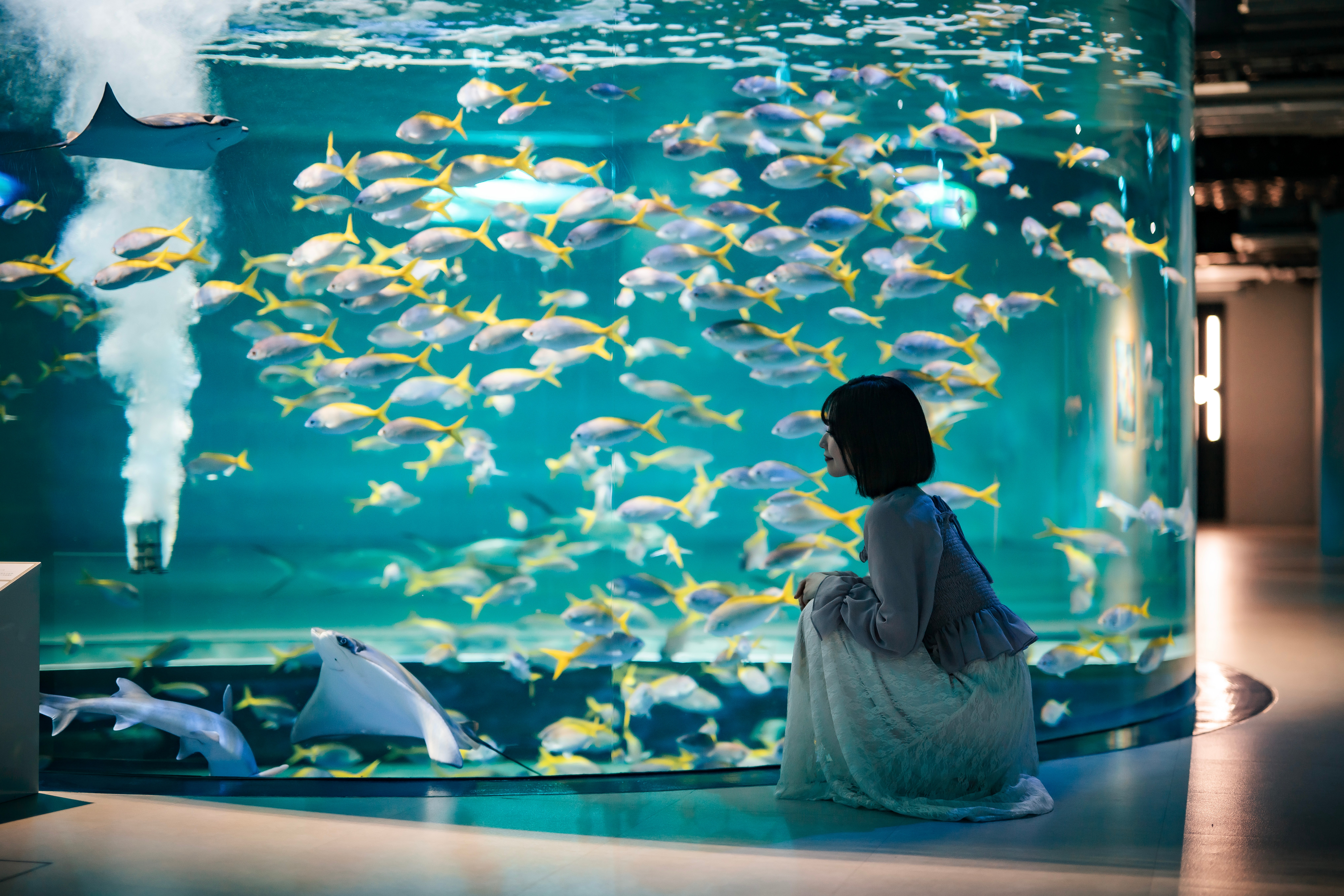 神戸ポートミュージアム AQUARIUM×ART átoa 入場Eチケット＋神戸1日周遊バス乗車券 予約