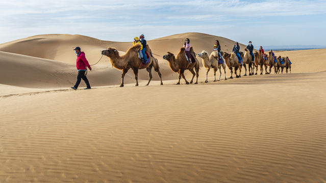 Camel Riding in Ordos