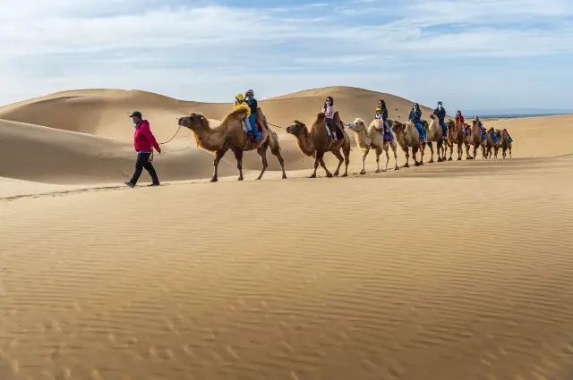 Camel Riding in Ordos