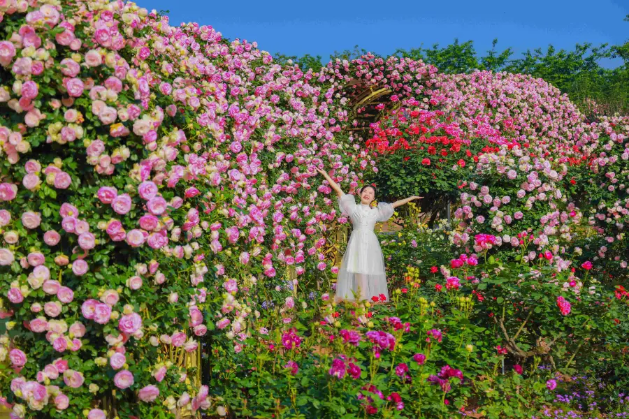 漫花荘園