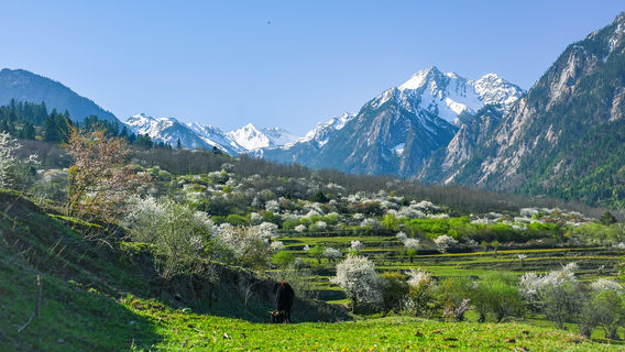Aba Hiking Experience