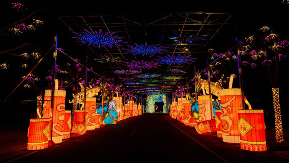 2025 Tangshan Nanhu Spring Festival Lantern Festival