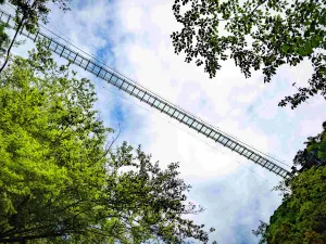 약왕산(야오왕산)