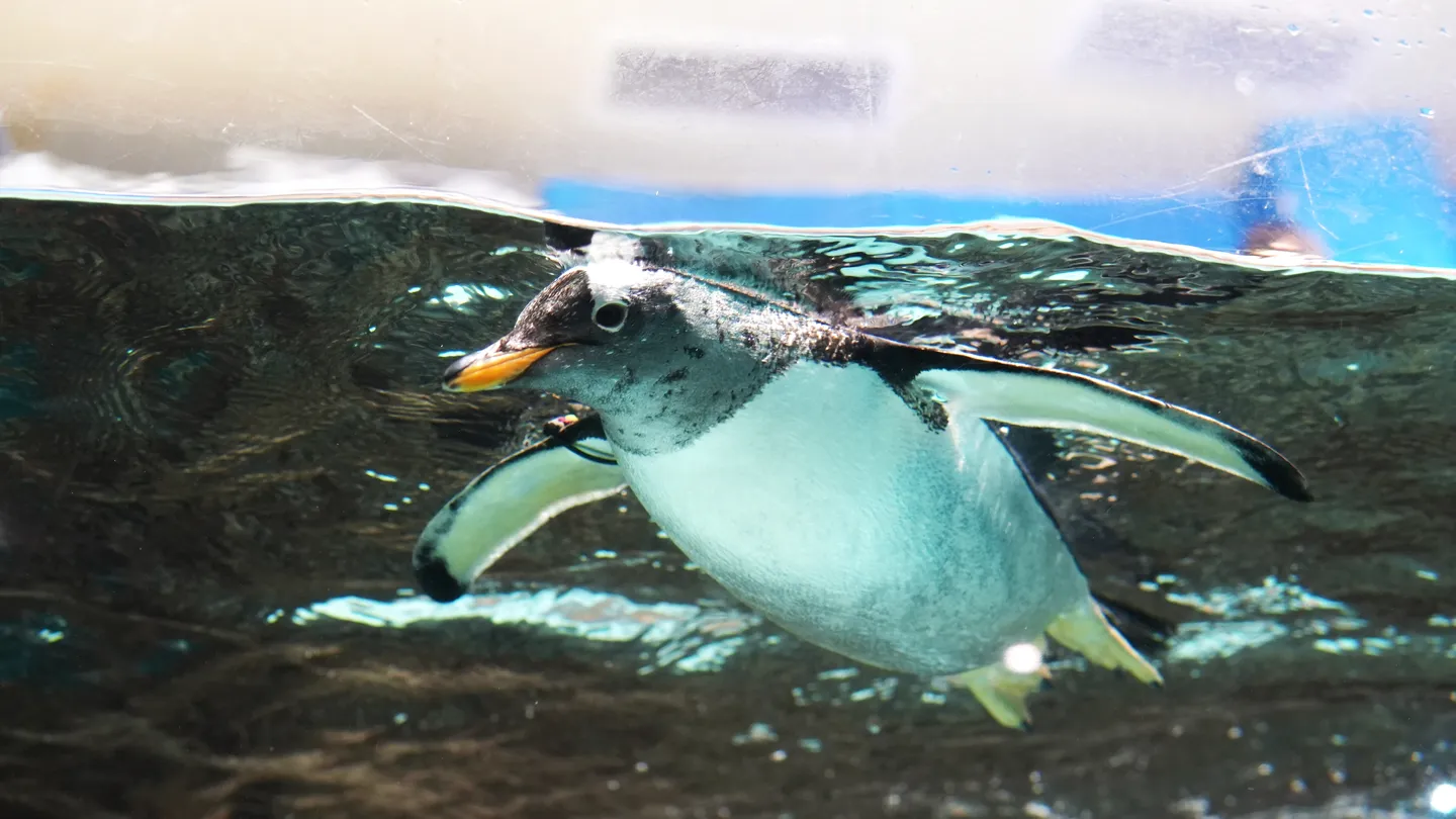 4_Cube Oceanarium Sea World