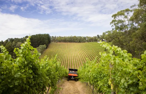 酋納柯444普通資源期票01勿動成人