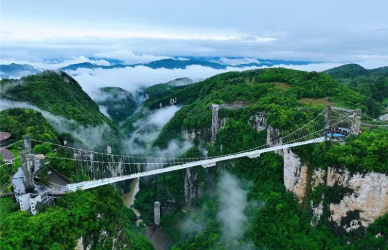 張家界大峽谷（B線）大峽谷+玻璃橋門票成人