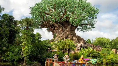 Disney's Animal Kingdom Theme Park attraction in Florida