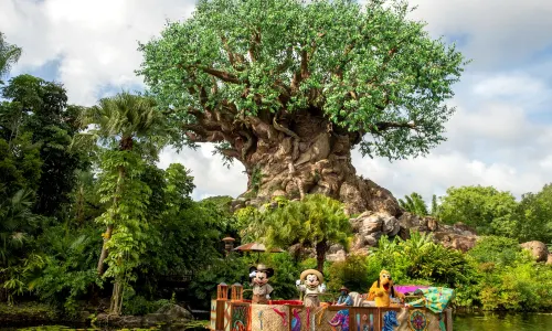 Disney's Animal Kingdom Theme Park