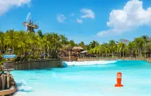 Disney's Typhoon Lagoon Water Park