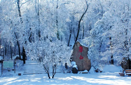 魯山國家森林公園門票成人