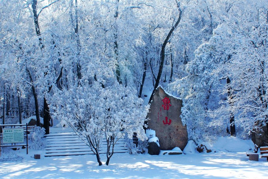 魯山國家森林公園