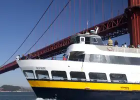 Blue & Gold Fleet