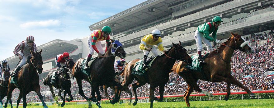 Sha Tin Racecourse