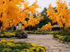 Attrazioni per la visione autunnale a Yishui: le opzioni più popolari