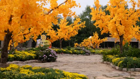 Heavenly Kingdom Scenic Area attraction in Linyi