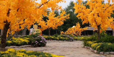 天上王城景區