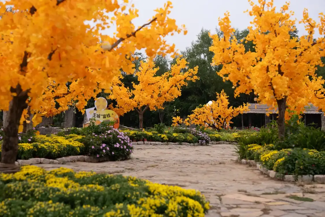 Hotels near Heavenly Kingdom Scenic Area