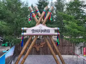 長白山雪絨花馴鹿園