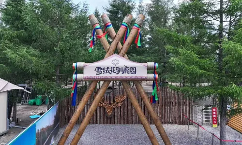 Changbai Mountain Edelweiss Reindeer Park