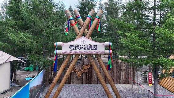 Changbai Mountain Edelweiss Reindeer Park
