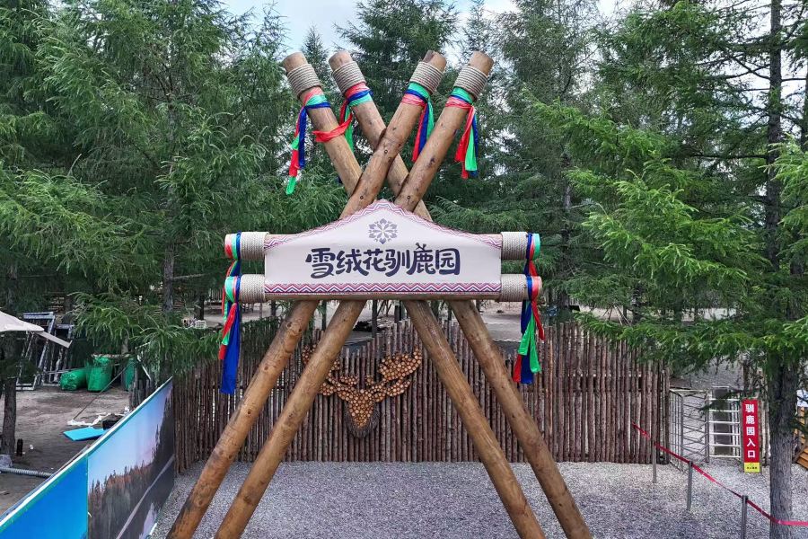 長白山雪絨花馴鹿園