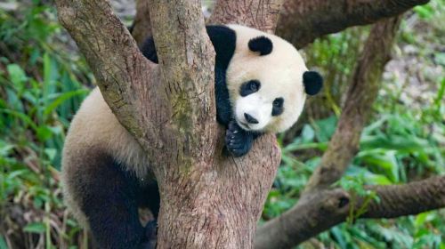 台北市立動物園