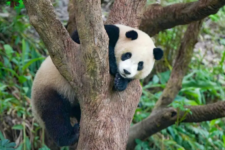 台北市立動物園