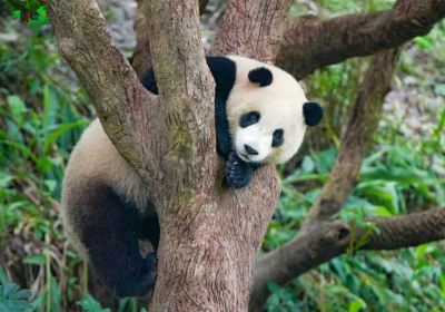 台北市立動物園