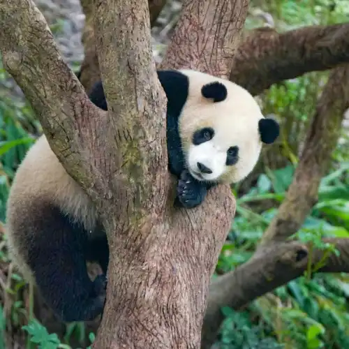 Top 10 Family-friendly Attractions in Taipei