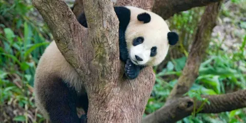 台北市立動物園