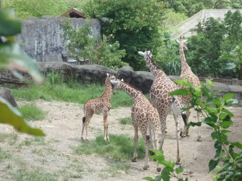 2_臺北市立動物園