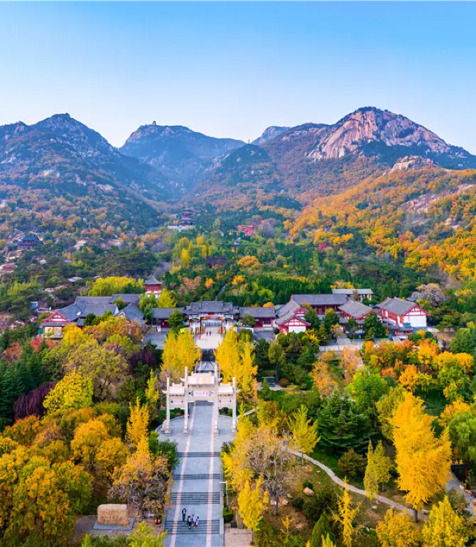 新泰
