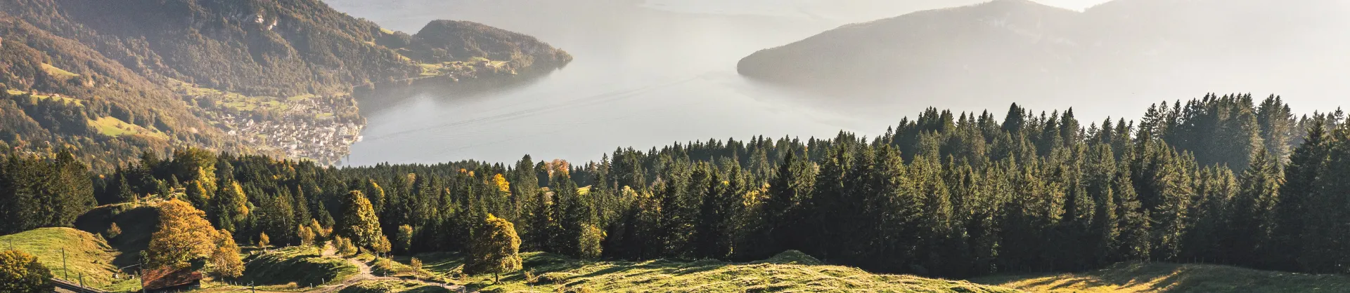 Fall Viewing Attractions